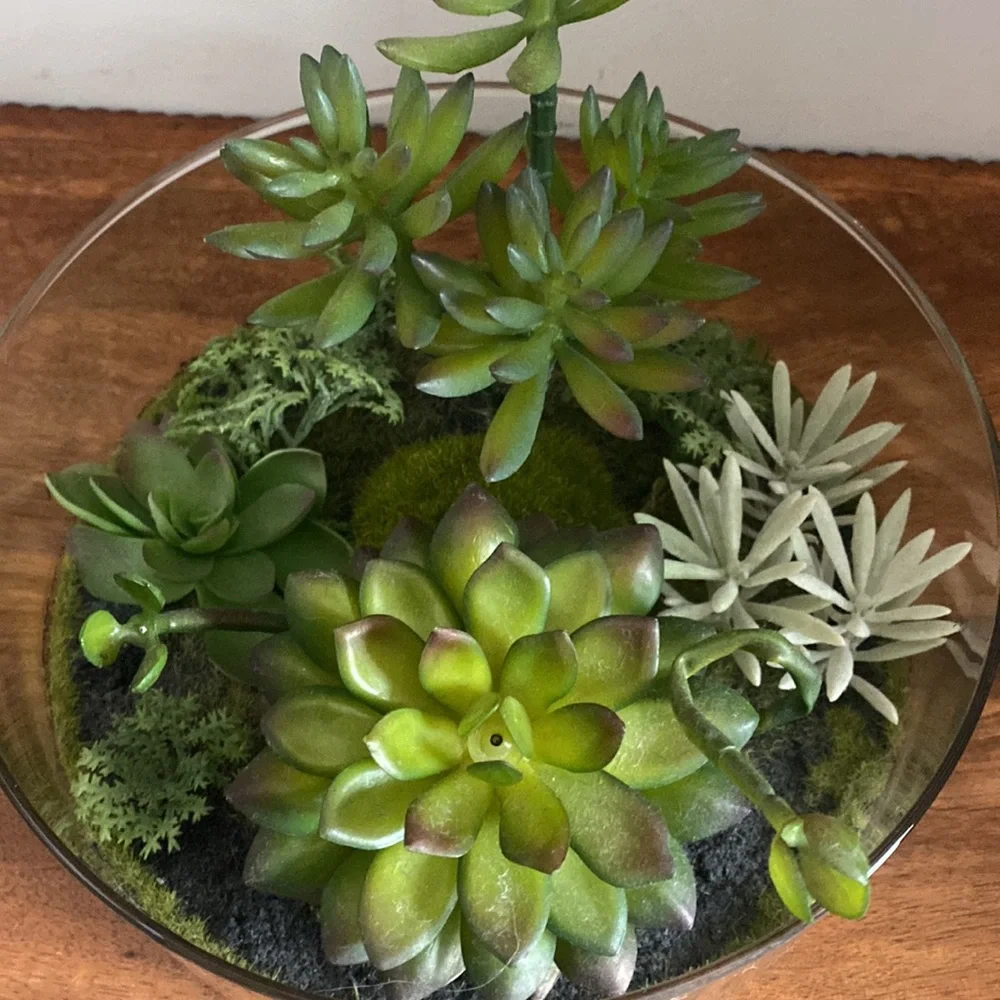 Target Threshold. Succulents in terrarium Glass bowl arrangement.